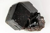 Andradite Garnet Cluster with Fluorapatite Crystals - China #196996-1